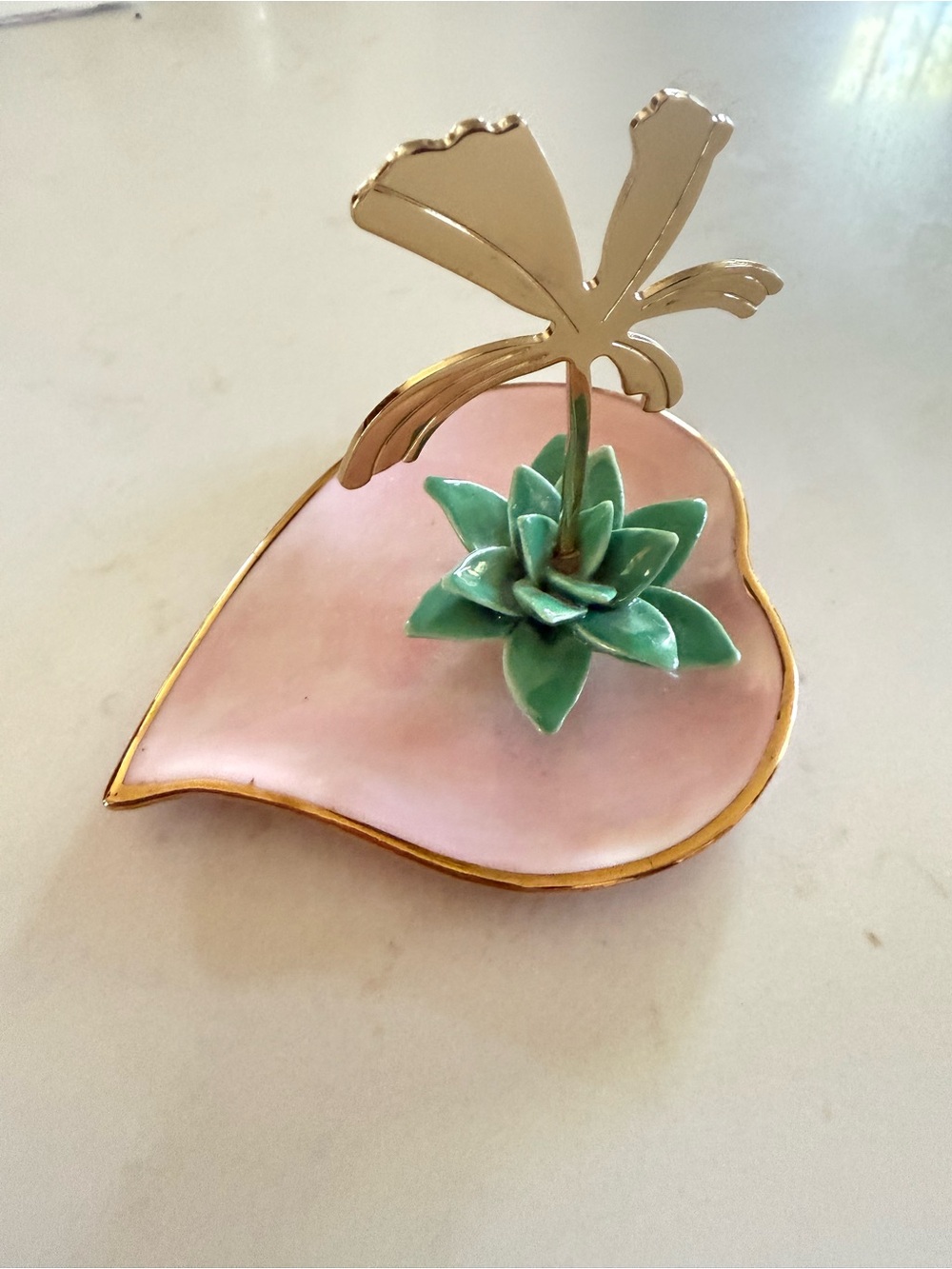 Anthropologie